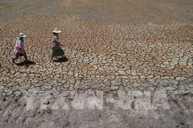 Thailand to build desalination plant to serve industrial production ảnh 1