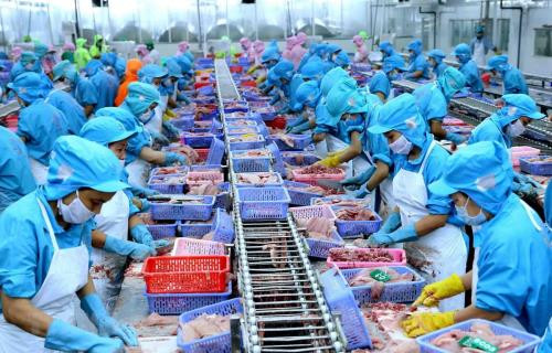 EVFTA offers huge opportunities for seafood sector to reach out ảnh 1