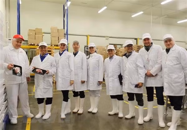 Russian province looks for twinning partner in Vietnam ảnh 1
