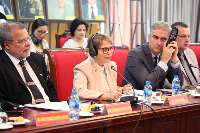 Governments should act to tap into Vietnam-Brazil trade potential: diplomat ảnh 1