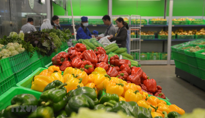 Fruit, vegetable exports bounce back in April ảnh 1