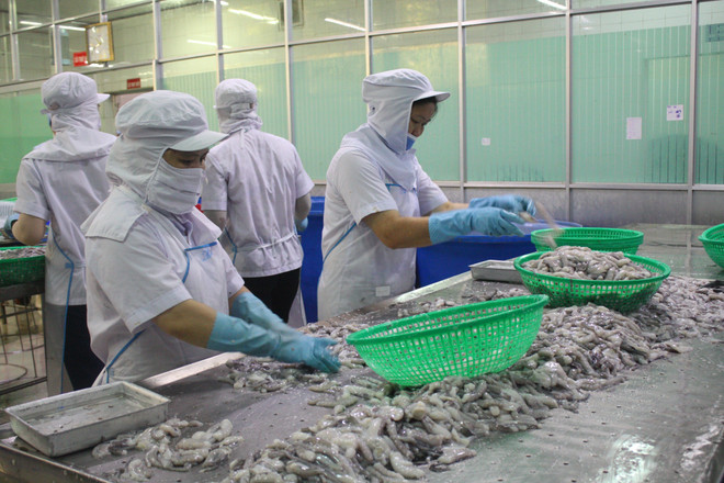 Seafood exporters advised to boost links with Chinese restaurants, hotels ảnh 1 Seafood exporters advised to boost links with Chinese restaurants, hotels ảnh 1