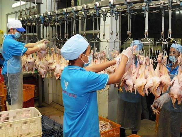 Thai firm to export poultry products by 2020 ảnh 1 Thai firm to export poultry products by 2020 ảnh 1
