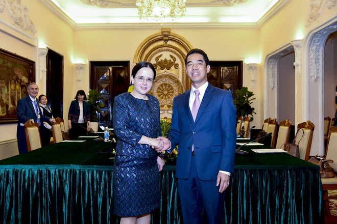 Vietnam, Romania hold political consultation in Hanoi ảnh 1