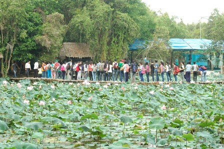 Dong Thap bolsters community-based tourism ảnh 1