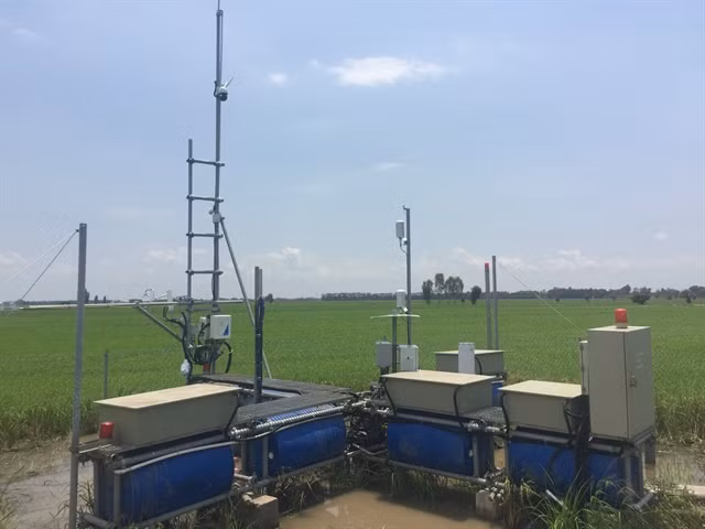 Station to monitor greenhouse gas emissions set up ảnh 1
