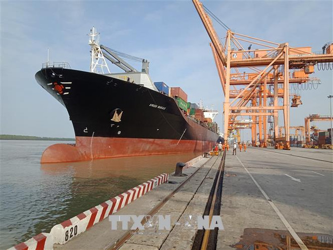 Vietnam prioritises development of key seaports ảnh 1