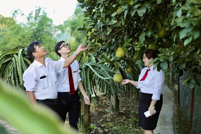 Plenty of room for interest rate cuts in 2024 ảnh 3