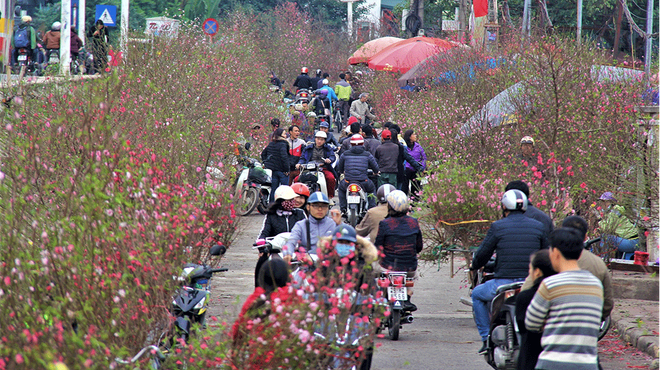 Tet markets – where the soul of countryside is found ảnh 1 Tet markets – where the soul of countryside is found ảnh 1