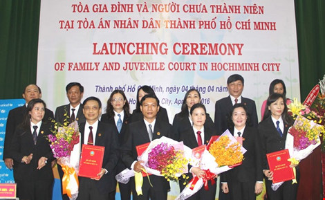 Family, juvenile court makes debut in HCM City ảnh 1