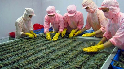Prawn export sees increase in first quarter ảnh 1 Prawn export sees increase in first quarter ảnh 1
