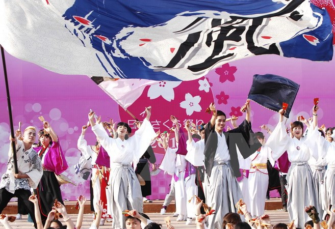 First Japanese cherry blossom festival held in Da Nang ảnh 1