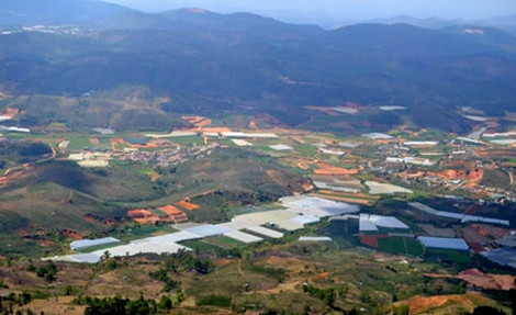 Da Lat plans to build 490ha safari park ảnh 1