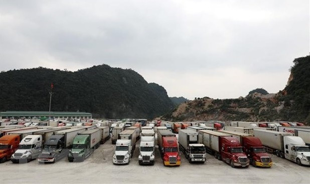 Ministries, localities tasked with handling cargo congestion ảnh 1 Ministries, localities tasked with handling cargo congestion ảnh 1