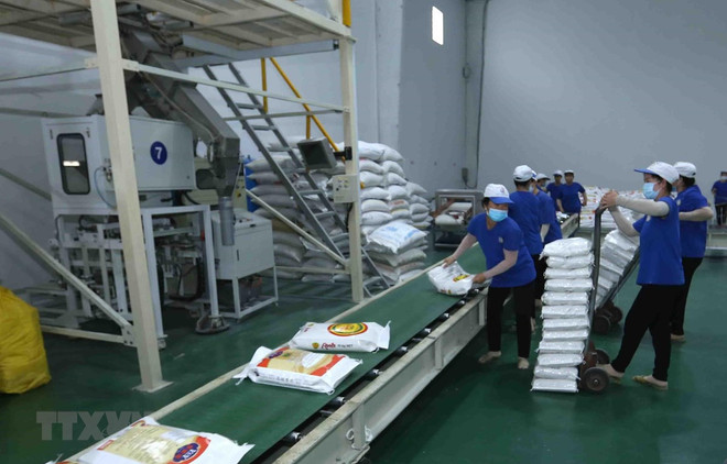 EU remains highly potential importer of Vietnamese rice ảnh 2