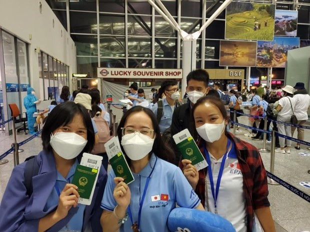 Vietnam sees decline in number of guest workers ảnh 1 Vietnam sees decline in number of guest workers ảnh 1