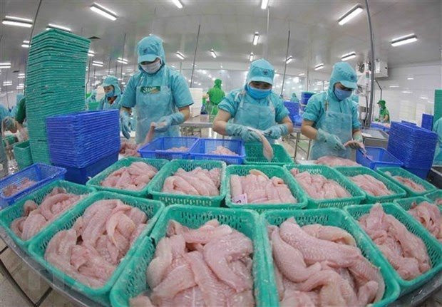 Tra fish exports predicted to hit 1.7 billion USD this year ảnh 1