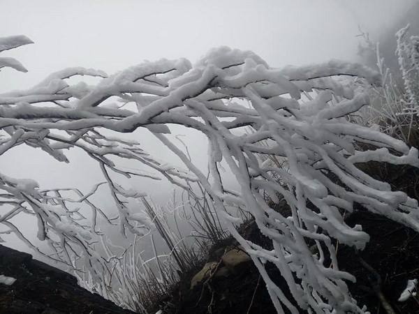 Lao Cai: temperatures drop, hoarfrost appears on Fansipan Mountain ảnh 1
