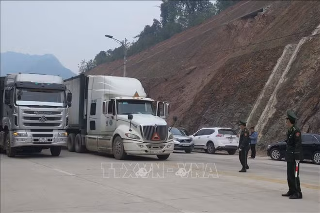 Trade minister urges handling cargo congestion by all means ảnh 1