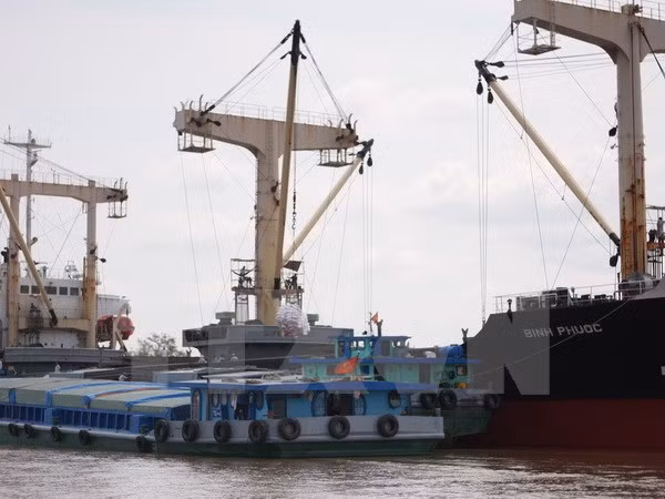 Transport trading floor to be introduced ảnh 1