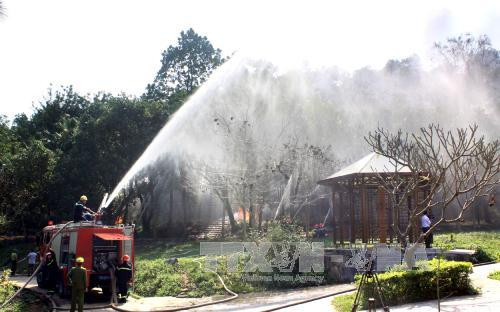 Phu Tho eager for Hung Kings Temple festival ảnh 1