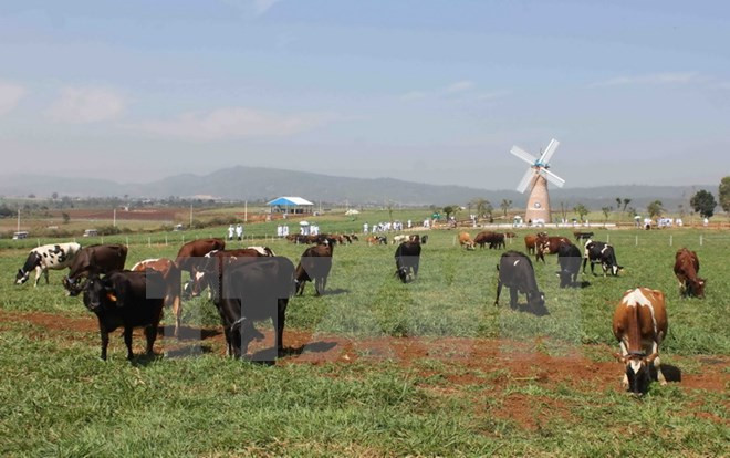 HCM City keen on Belarus’s expertise in urban development ảnh 1 HCM City keen on Belarus’s expertise in urban development ảnh 1