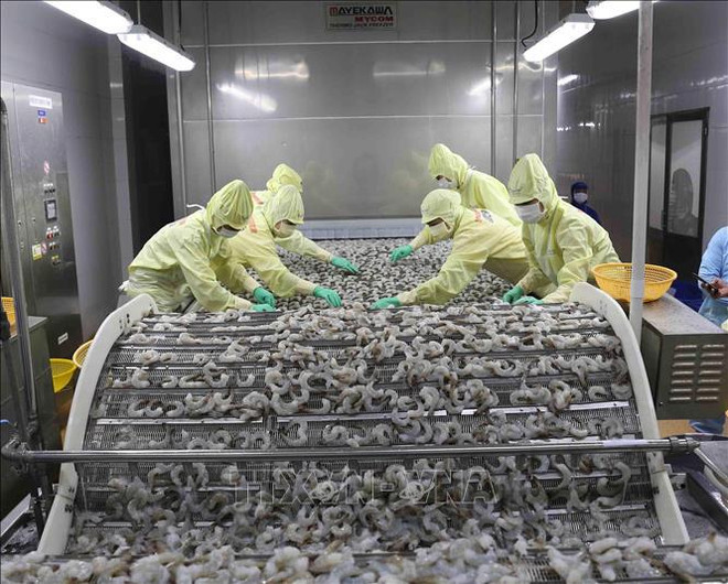 Aquatic exports likely to reach 3 billion USD in Q2 ảnh 2 Aquatic exports likely to reach 3 billion USD in Q2 ảnh 2