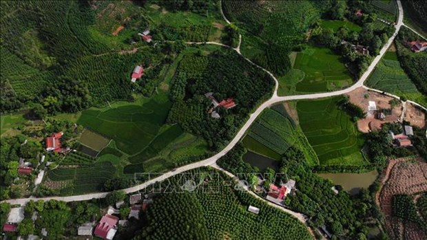 Bac Giang improves livelihood of ethnic minority people ảnh 1 Bac Giang improves livelihood of ethnic minority people ảnh 1