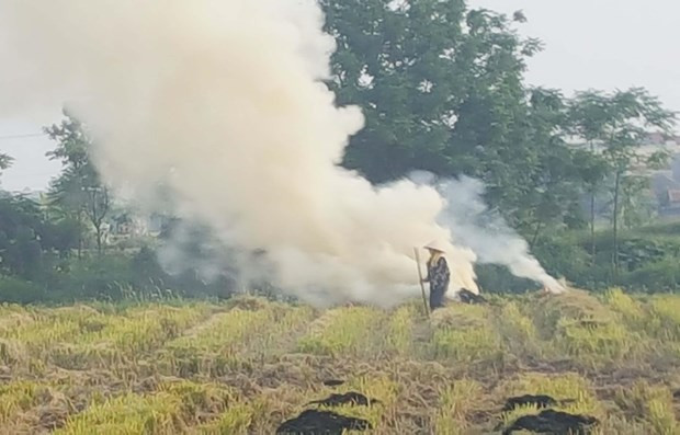 Hanoi authorities advised tightening control over waste sources ảnh 1 Hanoi authorities advised tightening control over waste sources ảnh 1