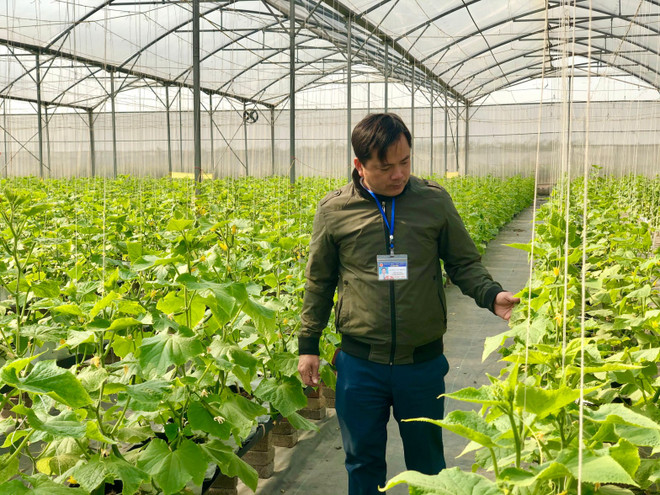 Personnel rotation in Bac Giang province bears fruit ảnh 1 Personnel rotation in Bac Giang province bears fruit ảnh 1