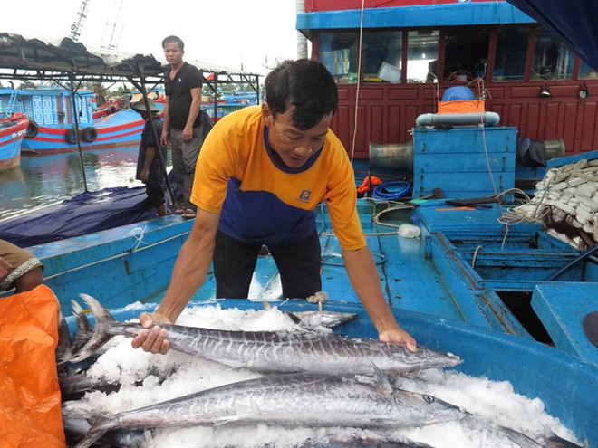 Gov’t to prevent fishing in foreign waters ảnh 1