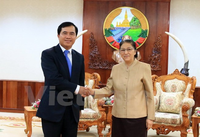 Vietnam steps up Lao National Assembly building project ảnh 1