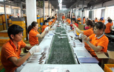 Scheme on trade union institutions in industrial, processing zones adopted ảnh 1