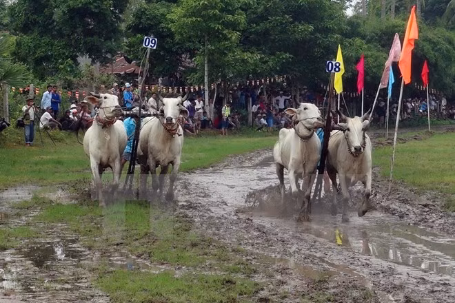 An Giang Tourism Month kicks off ảnh 1