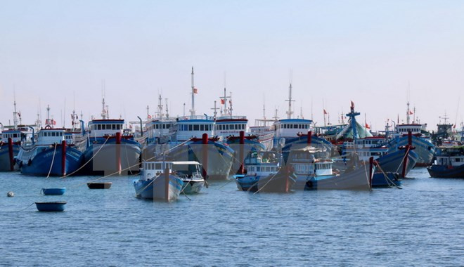 Khanh Hoa province supports offshore fishing activities ảnh 1
