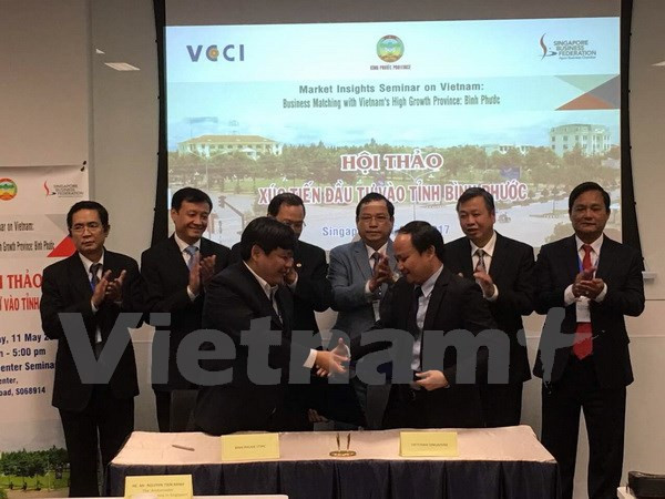 Binh Phuoc calls for Singapore’s investment ảnh 1