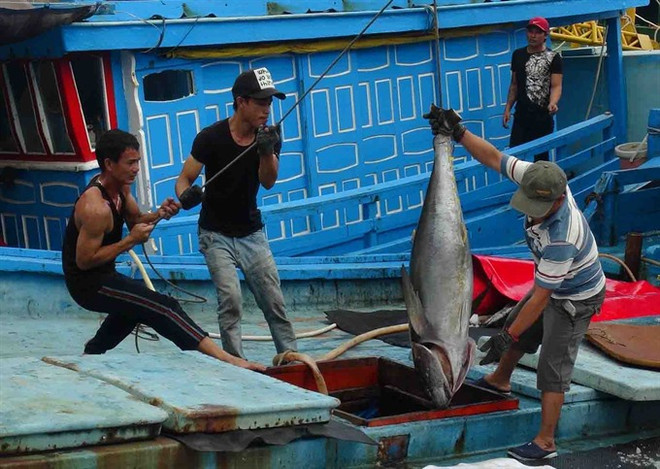 Worker safety at risk, especially in fishing ảnh 1 Worker safety at risk, especially in fishing ảnh 1