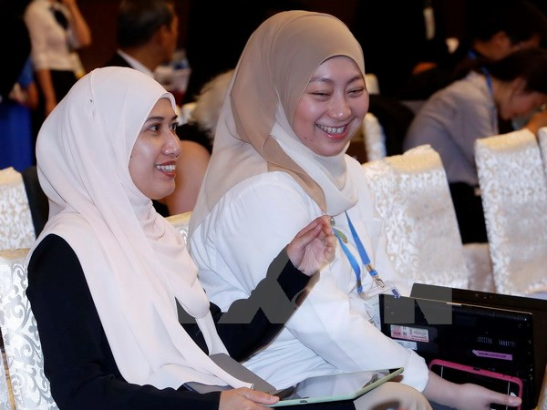 Delegates to APEC 2017 impressed by Hanoi city ảnh 1