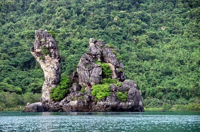 Bai Tu Long National Park becomes ASEAN’s 38th heritage park ảnh 1