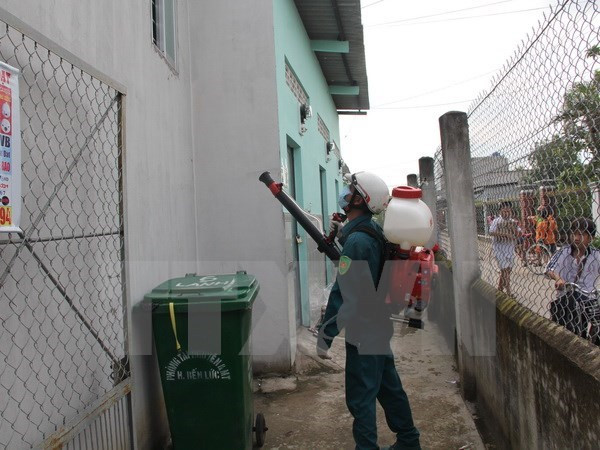Localities strengthen prevention of dengue fever, Zika virus ảnh 1