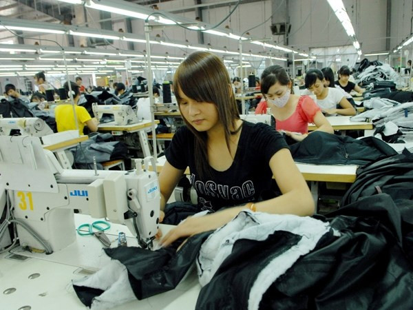 Vietnam, India look to boost garment and textile cooperation ảnh 1