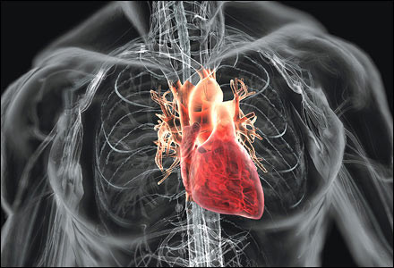 Cardiovascular diseases high in Vietnamese youths ảnh 1