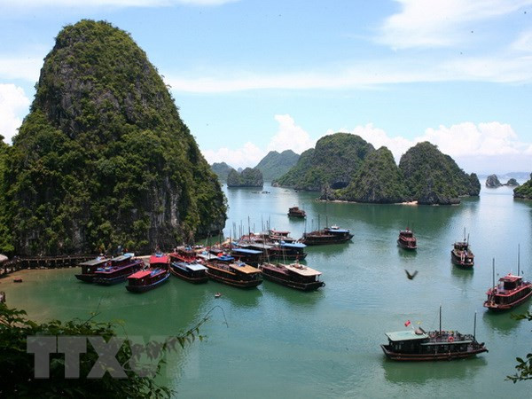 Quang Ninh promotes sea, island activities ảnh 1