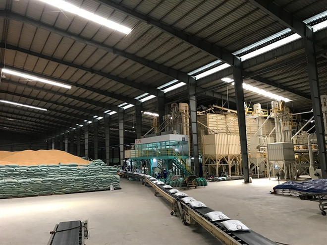 Vietnamese group wins Japonica rice export contracts to RoK ảnh 1