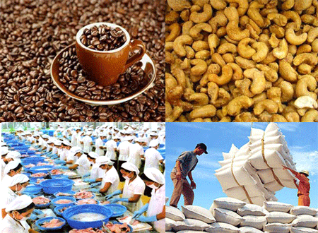 Agro-forestry-fishery exports earn nearly 21 billion USD ảnh 1
