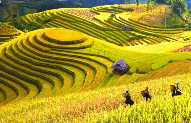 Sa Pa summer festival promotes folk culture ảnh 1