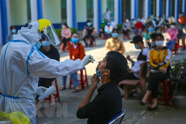 WHO Representative praises Vietnam’s COVID-19 fight ảnh 2