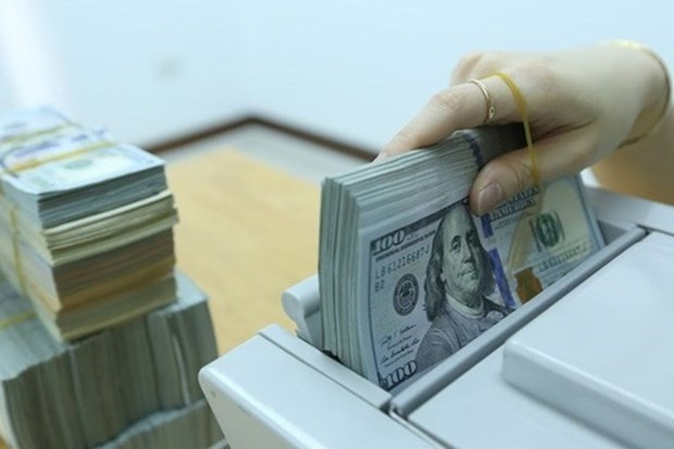 Reference exchange rate revised down by 5 VND ảnh 1 Reference exchange rate revised down by 5 VND ảnh 1