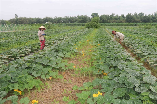 Tra Vinh to dredge irrigation canals to better cope with dry season ảnh 1
