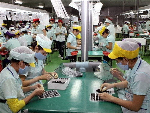 Labour demand grows in HCM City ảnh 1